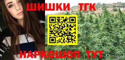 стаф Будённовск
